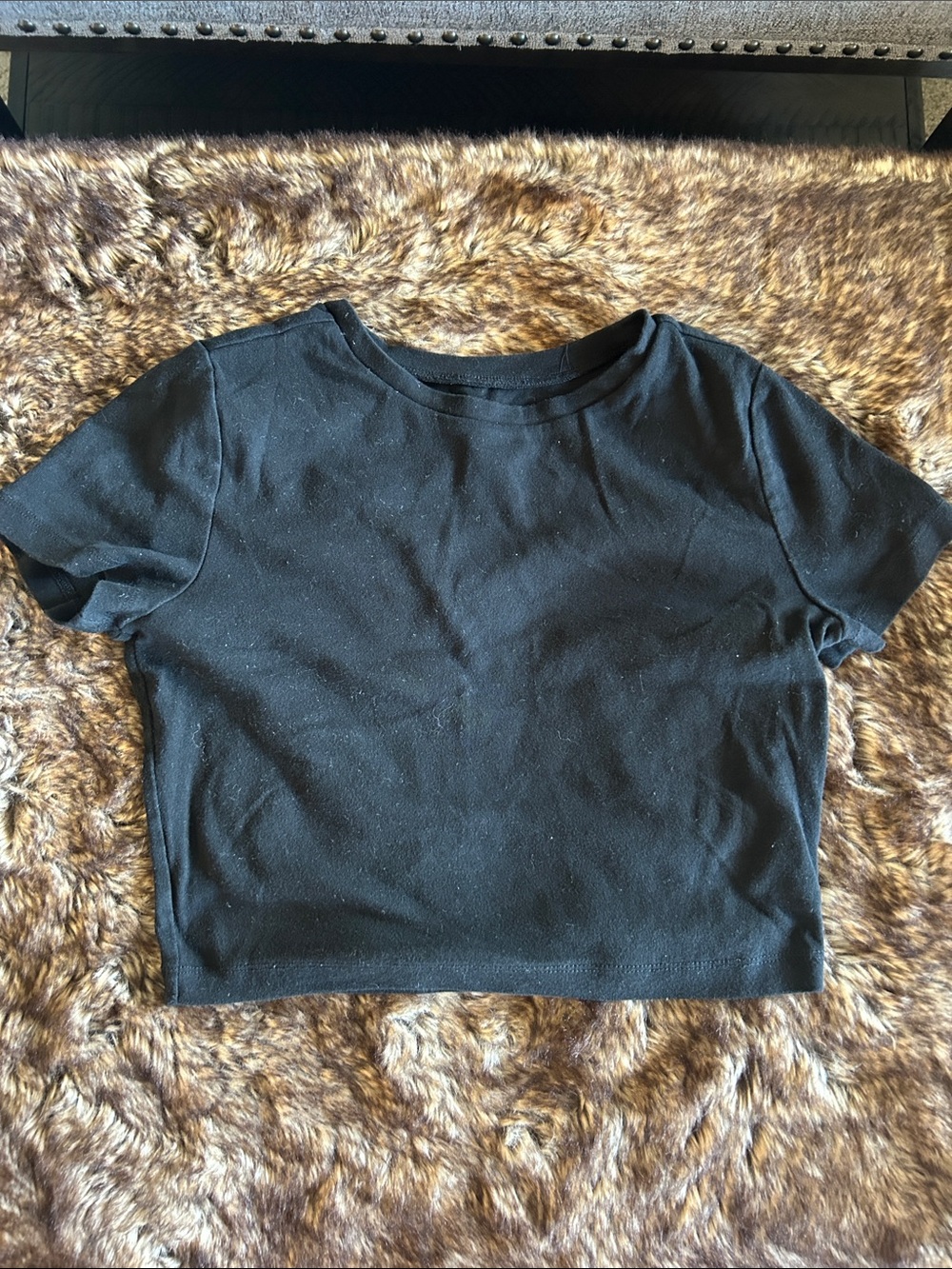 wild fable Black Crop Tee with Crew Neck